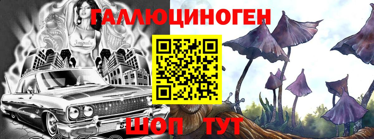 Псилоцибиновые грибы Cubensis Ревда